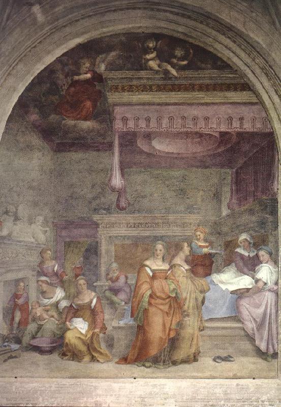 Andrea del Sarto Birth of the Virgin  gfg Germany oil painting art